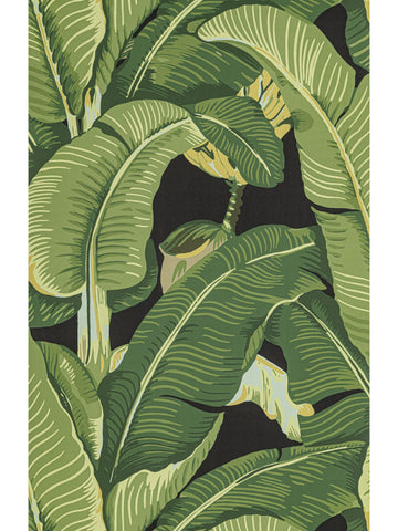 scalamandre - hinson palm absinthe wallpaper - whn 000444000md