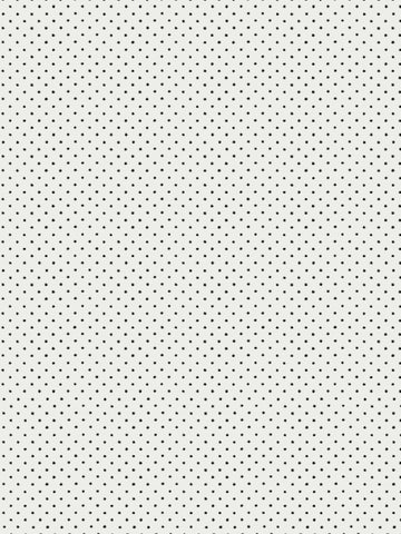 Scalamandre - Lee Black on White Wallpaper - WHN 000EP0665