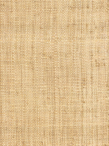 Scalamandre - Hinson Madagascar Coarse Whitewashed Wallpaper - WHN 00WBY0390