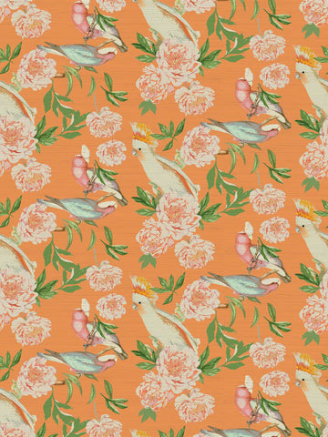 Scalamandre - Peony Inspira Bellini Wallpaper - WNM 0001PEON
