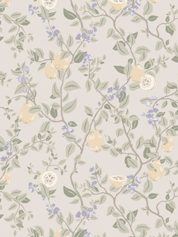 scalamandre - kvitten lilac wallpaper - wsb 00690432
