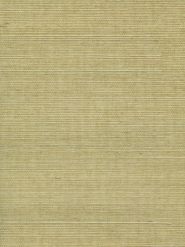 Scalamandre - Organic Sisal Springtime Wallpaper - WTW GT3951