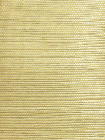Scalamandre - Organic Sisal Leaf Wallpaper - WTW GT3964