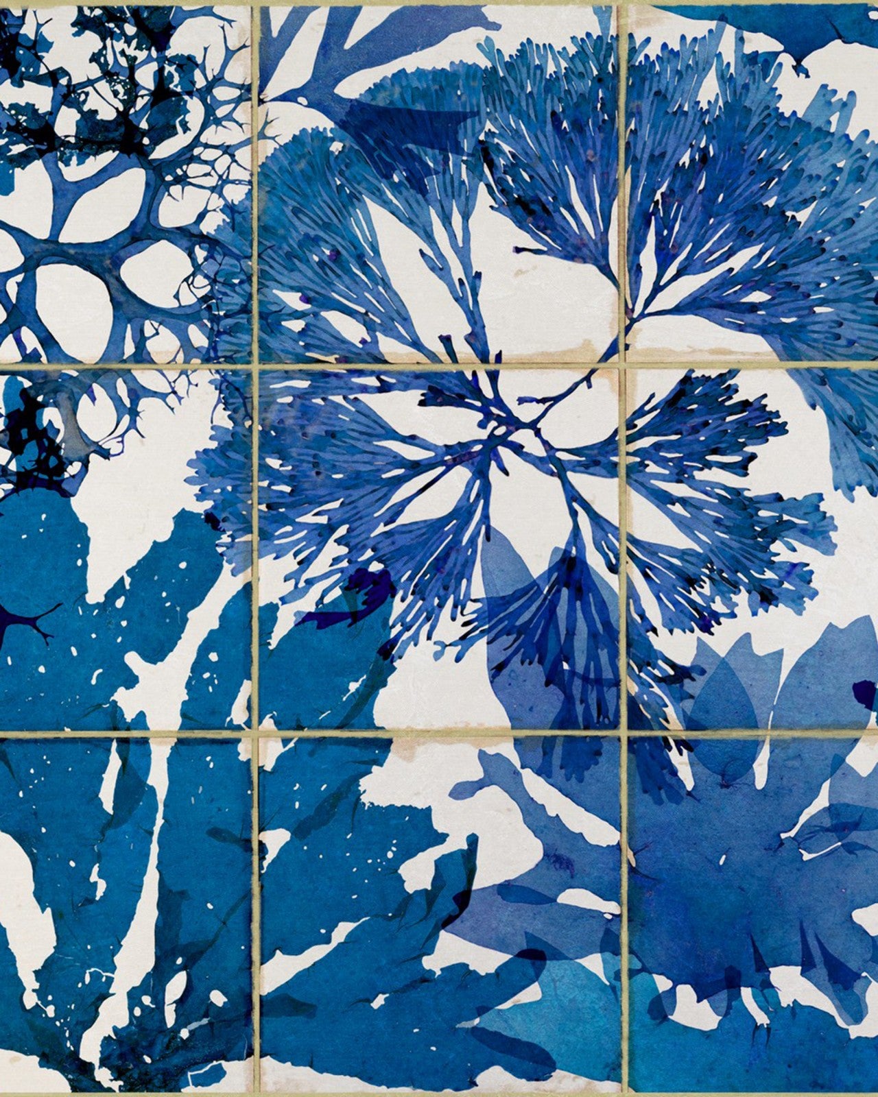 mind the gap - algae in blue - wp20179