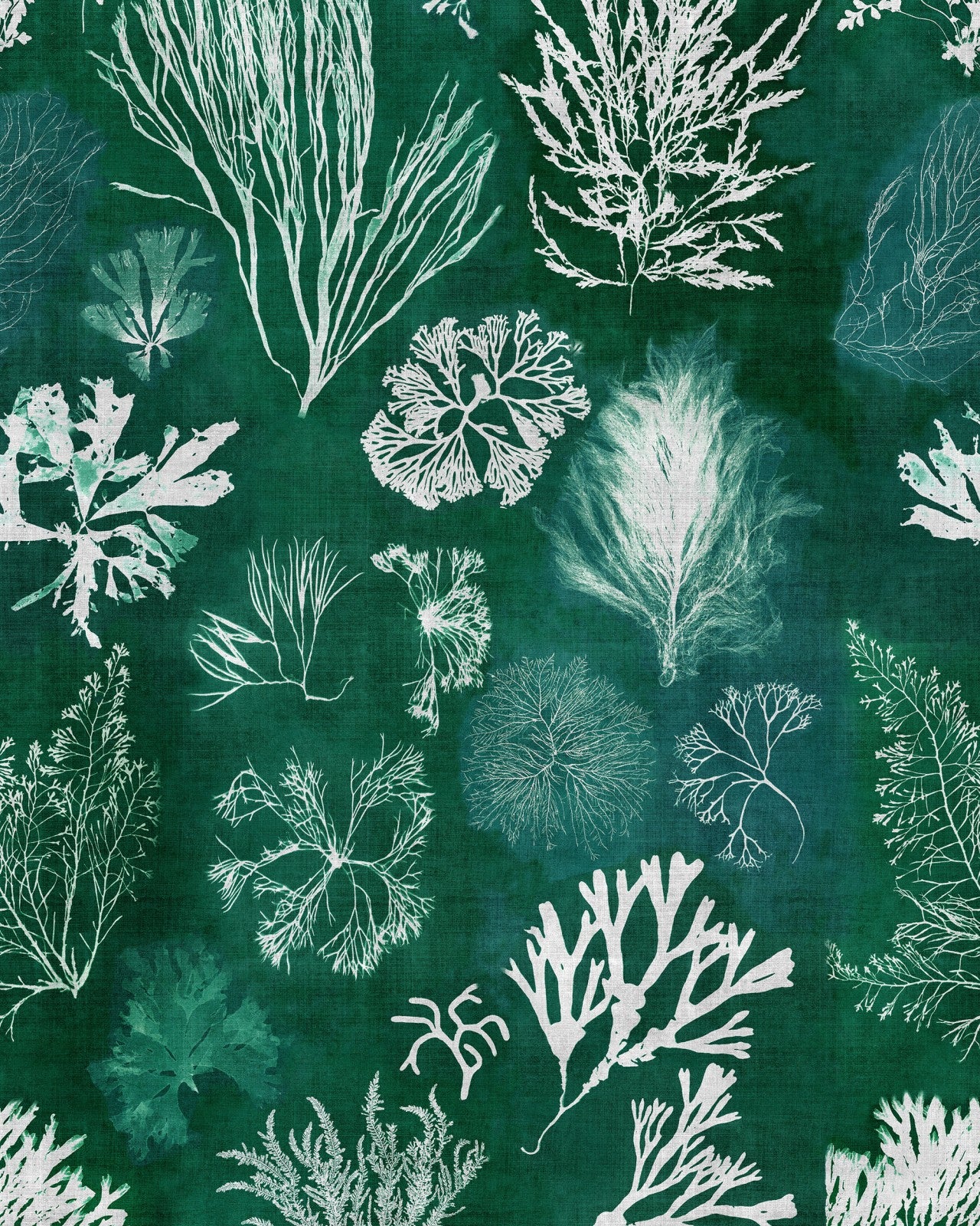 mind the gap - algae moss wallpaper - wp20296