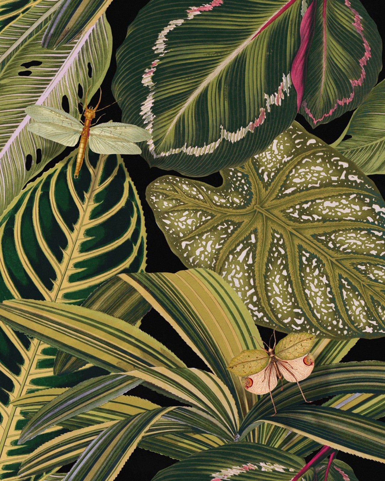 mind the gap - amazonia wallpaper - wp20159