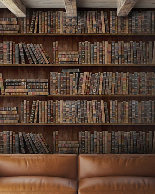 Mind The Gap - BOOK SHELVES Premium Wallpaper - WP20112