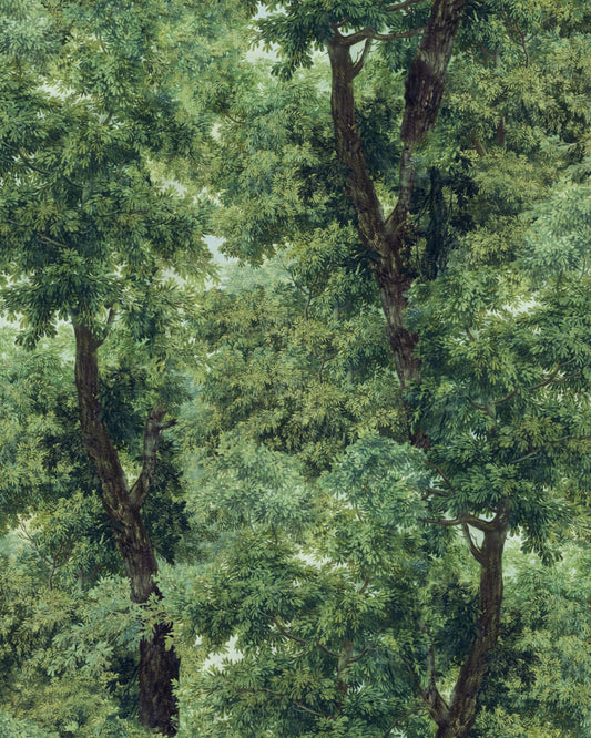 Mind The Gap - BRANCHY Meadow Green Wallpaper - WP20785