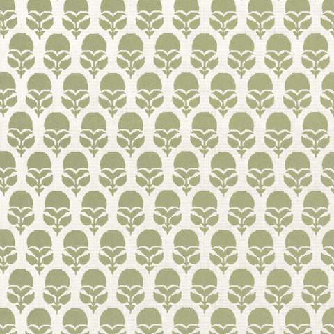 Anna French AW9228 Marguerite Willow Fabric