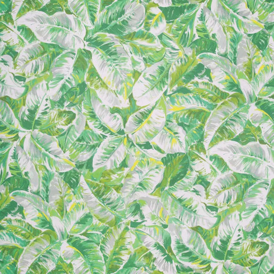 Brunschwig & Fils - Diani - Leaf - P8022109.3.0