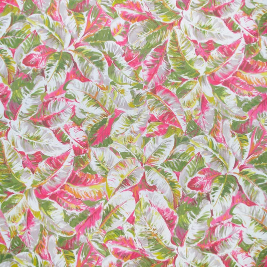 Brunschwig & Fils - Diani - Spring - P8022109.73.0