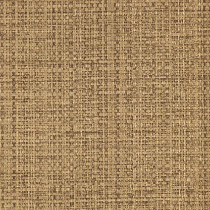Kravet Design - Kravet Design - W3682-64