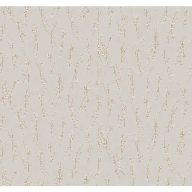 Kravet Design - Kravet Design - W4115-416