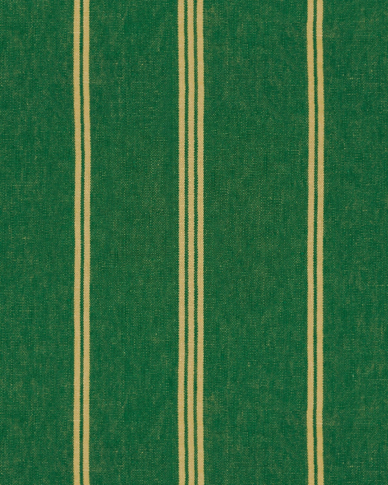mind the gap - katalin stripe ultramarine green wallpaper - wp30071