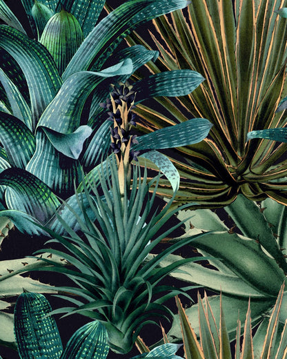 Mind The Gap - LUSH SUCCULENTS Wallpaper - WP20164