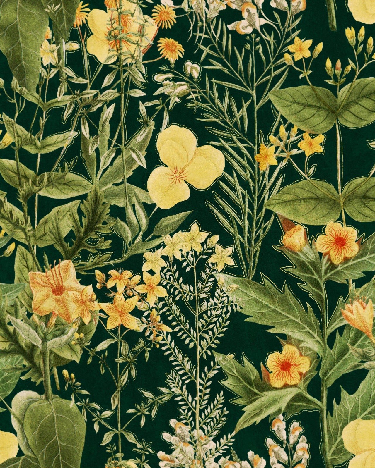 mind the gap - mimulus anthracite wallpaper - wp20322
