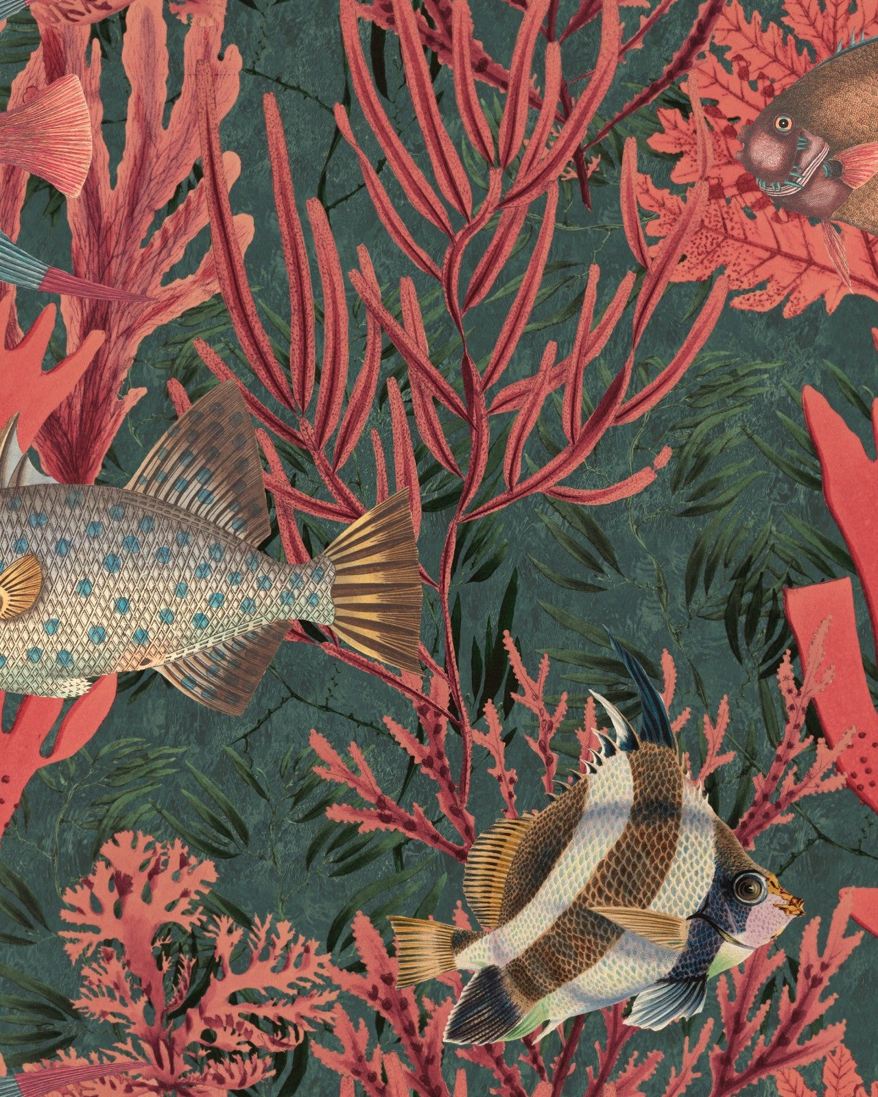 mind the gap - the undersea wallpaper - wp20303