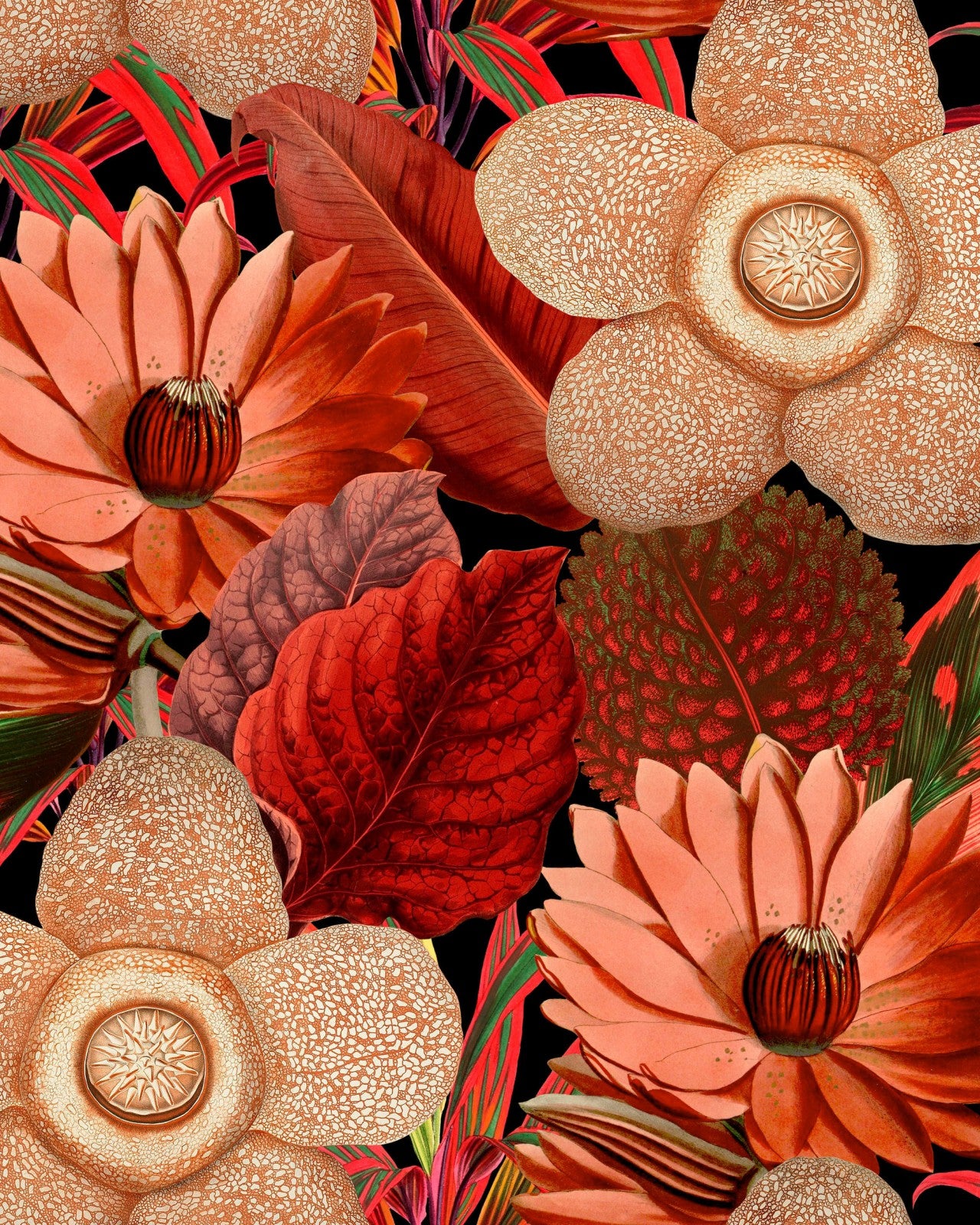 mind the gap - water lilies wallpaper - wp20316