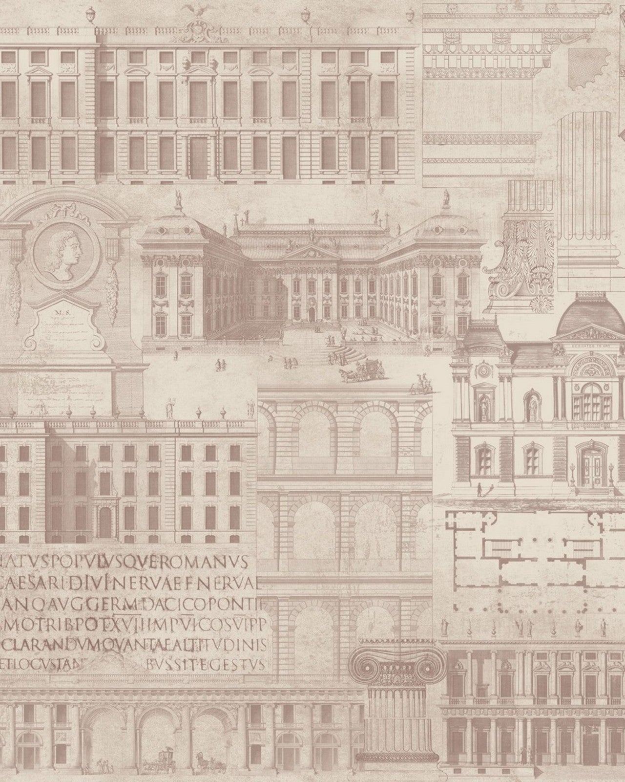 mind the gap - vitruvius taupe premium wallpaper - wp20028