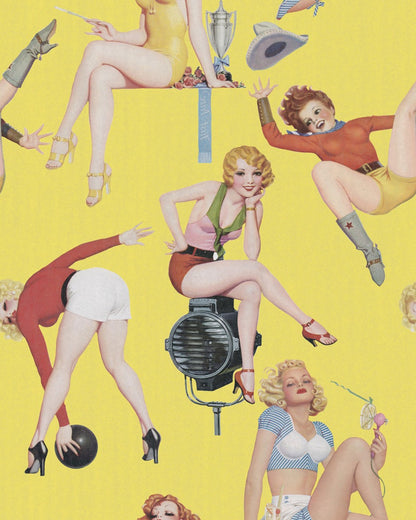 Mind The Gap - PIN-UP GIRLS Premium Wallpaper - WP20068