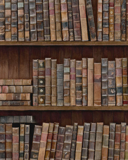 Mind The Gap - BOOK SHELVES Premium Wallpaper - WP20112