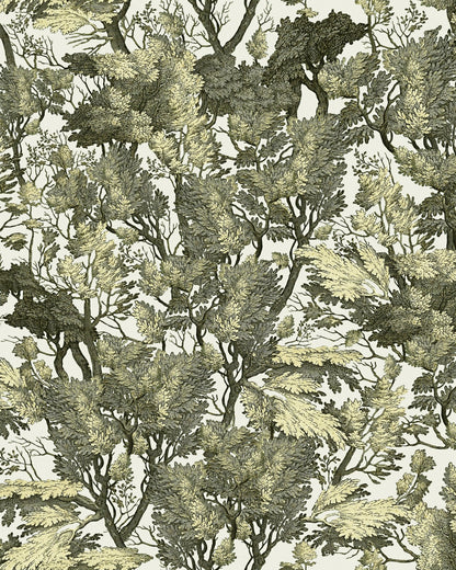 Mind The Gap - TREE FOLIAGE Wallpaper - WP20481