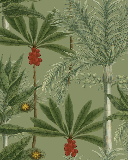 Mind The Gap - MADAGASCAR Wallpaper - WP20520