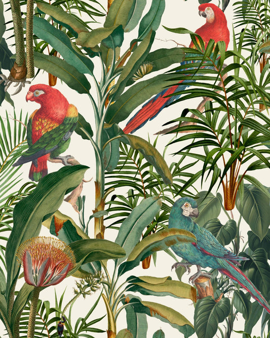Mind The Gap - PARROTS OF BRASIL Wallpaper - WP20521