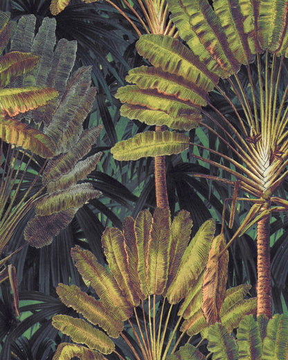 Mind The Gap - TRAVELLER'S PALM Sunset Wallpaper - WP20526