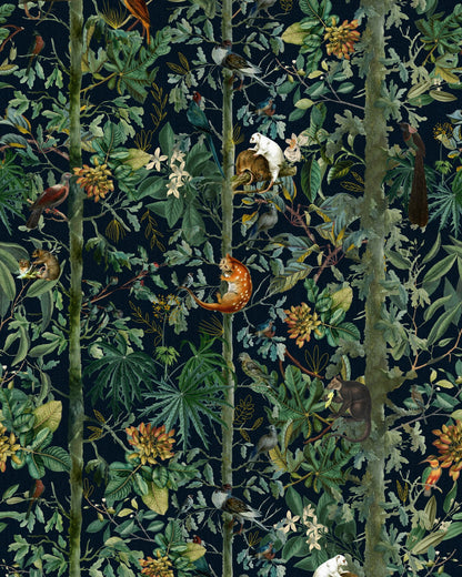 Mind The Gap - WILDLIFE OF PAPUA Dark Wallpaper - WP20527