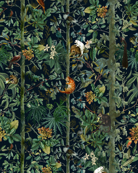 Mind The Gap - WILDLIFE OF PAPUA Dark Wallpaper - WP20527
