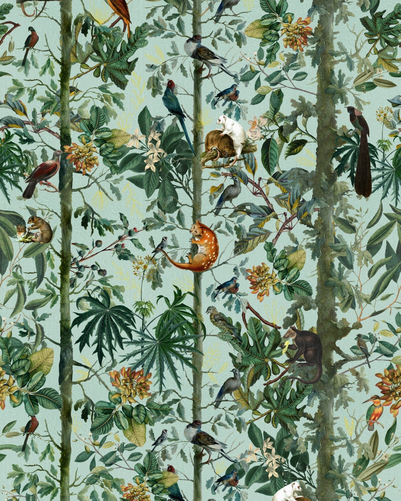mind the gap - wildlife of papua wallpaper - wp20528